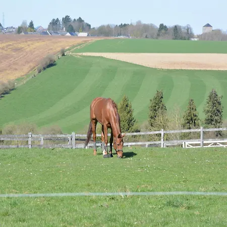 Charming In For 7 * Ouffet